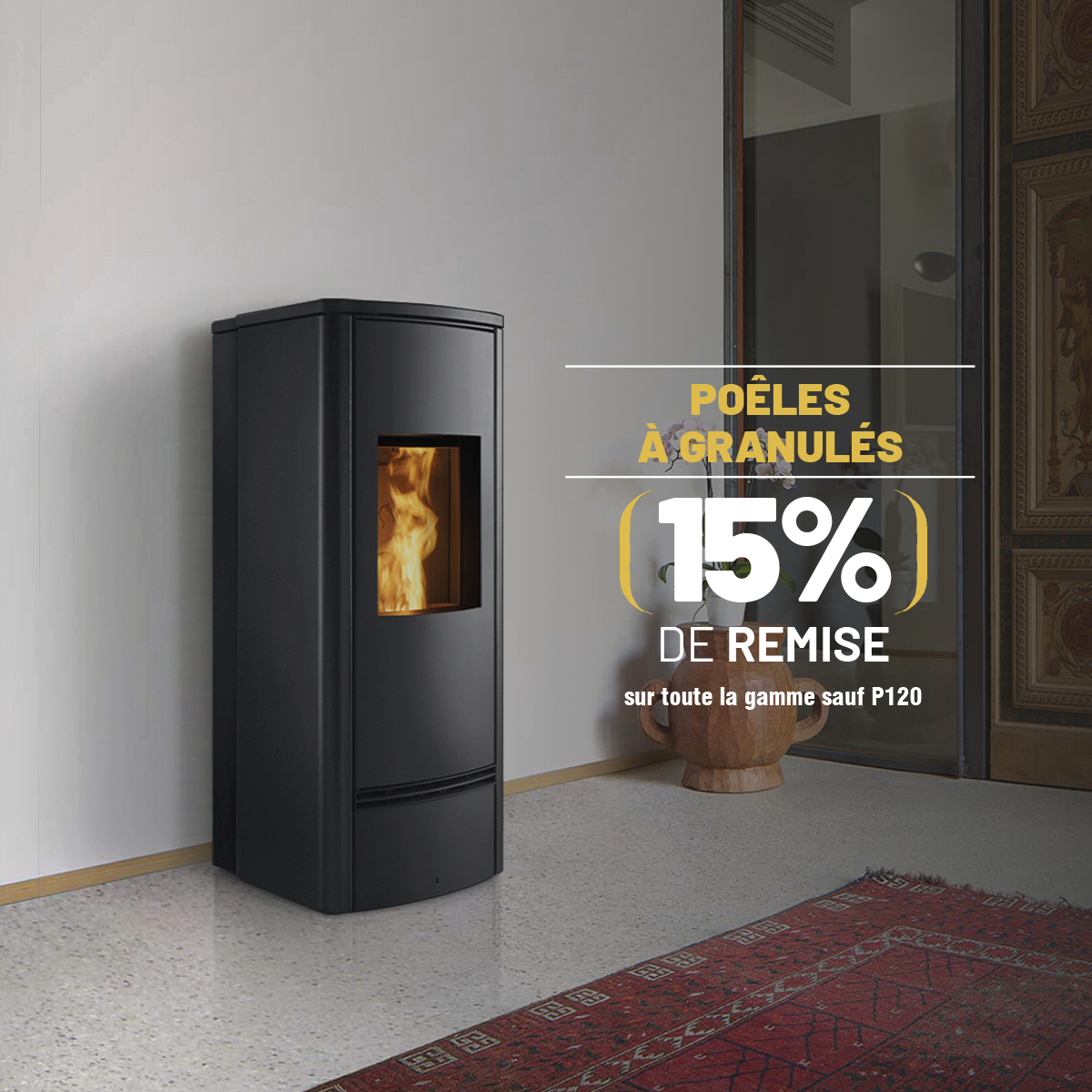 Promotion chauffage bois et granulés